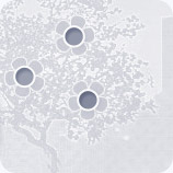 Network-Green